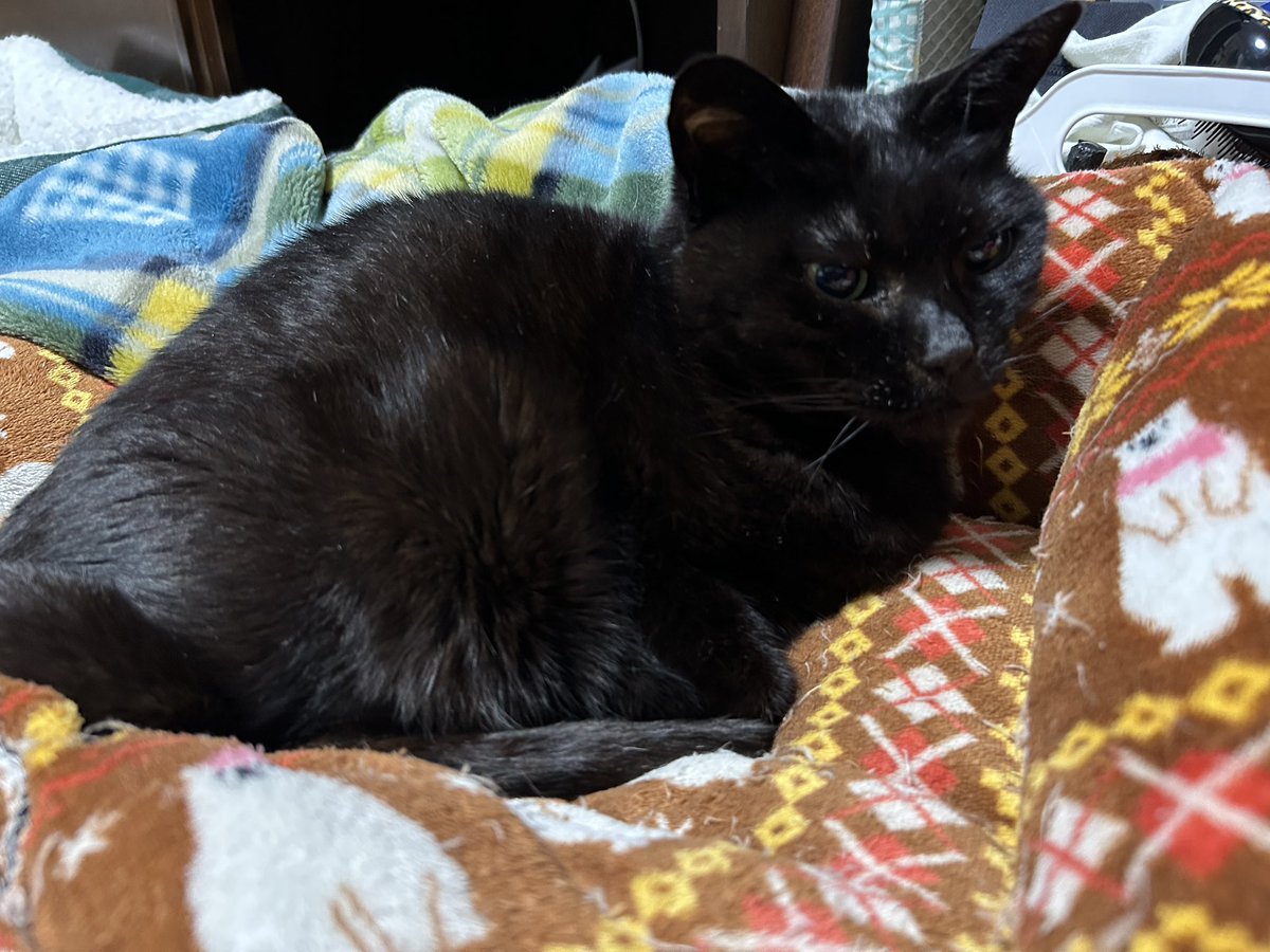 こうじ tweet media