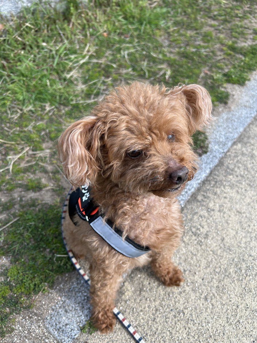 こうじ tweet media