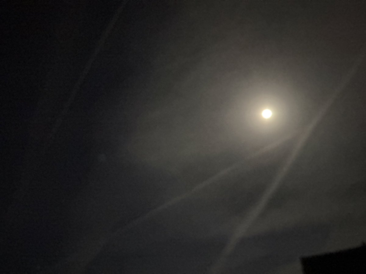 Mark Hyde 🏴󠁧󠁢󠁥󠁮󠁧󠁿🏴󠁧󠁢󠁥󠁮󠁧󠁿 tweet media