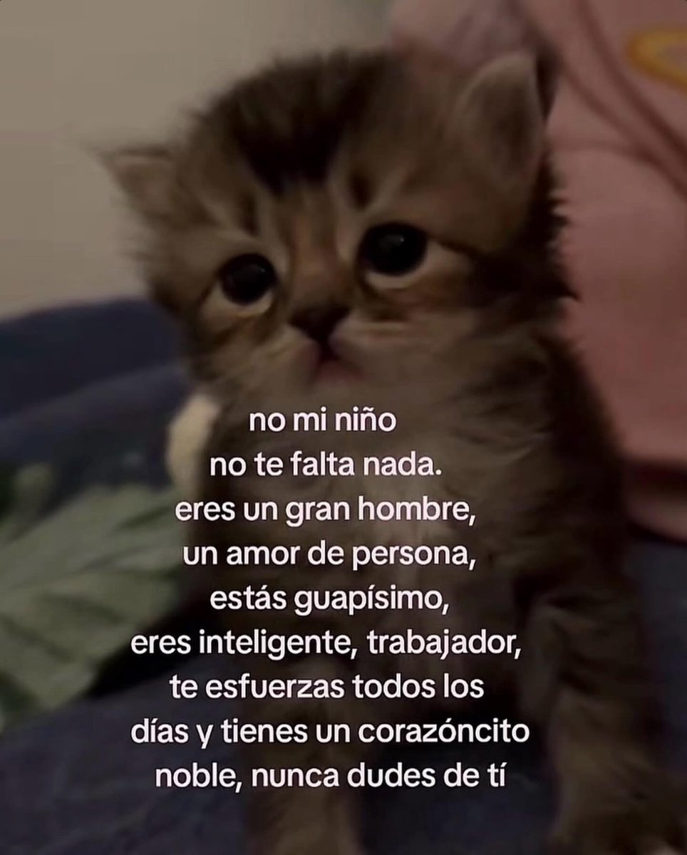 Mundo de Bigotes tweet media