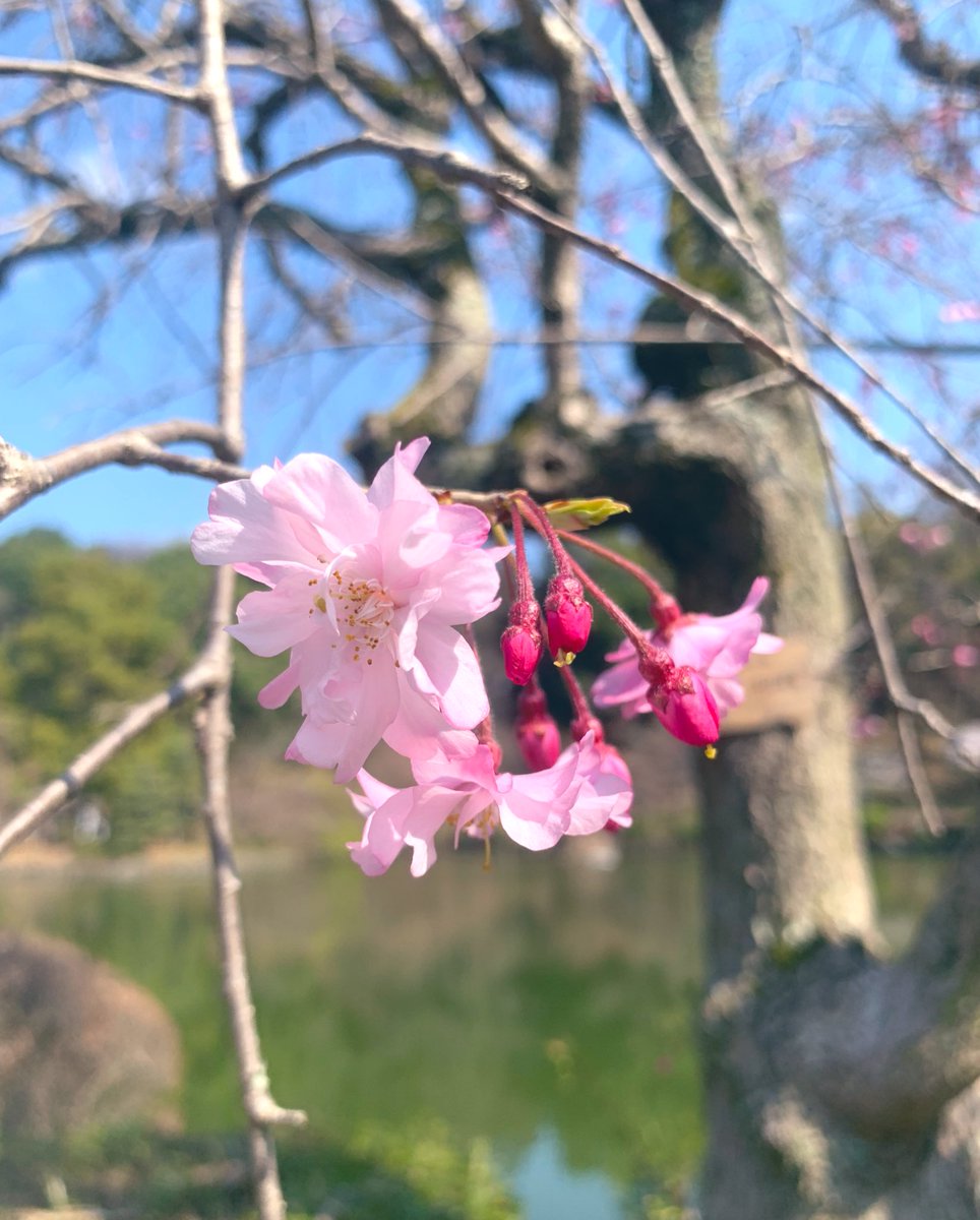 riechan1111 tweet media