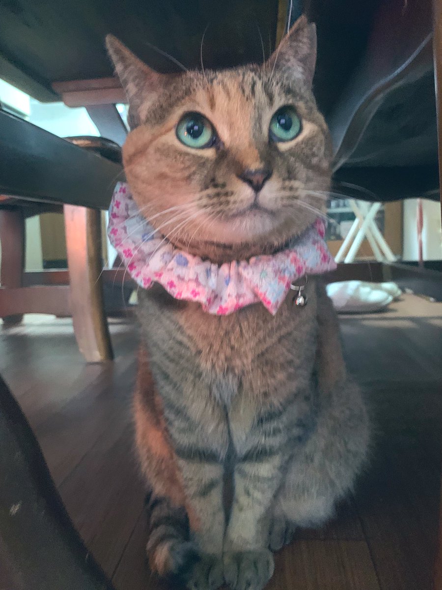 riechan1111 tweet media