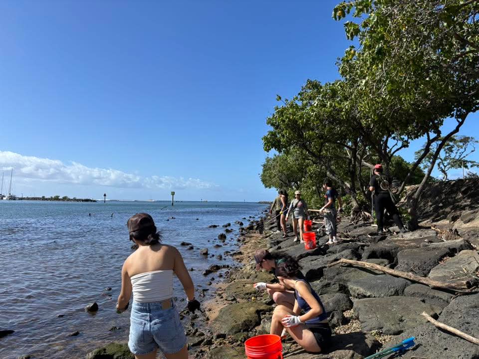 808cleanups tweet media