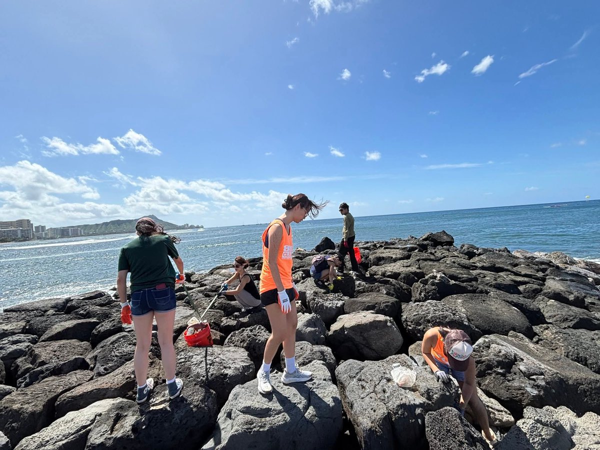 808cleanups tweet media