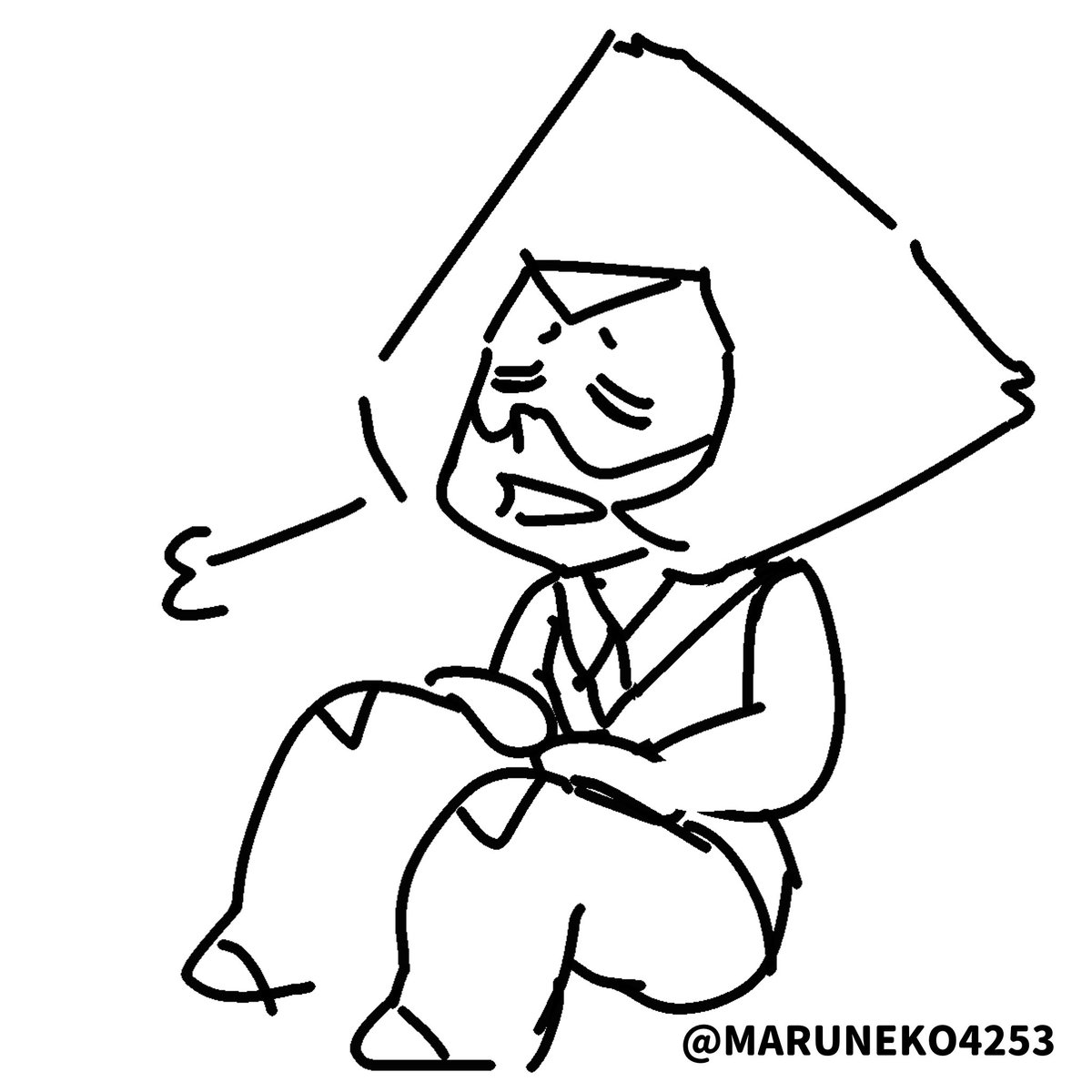 🟢チャイ子⭐️ペリ熱愛家🟢 tweet media