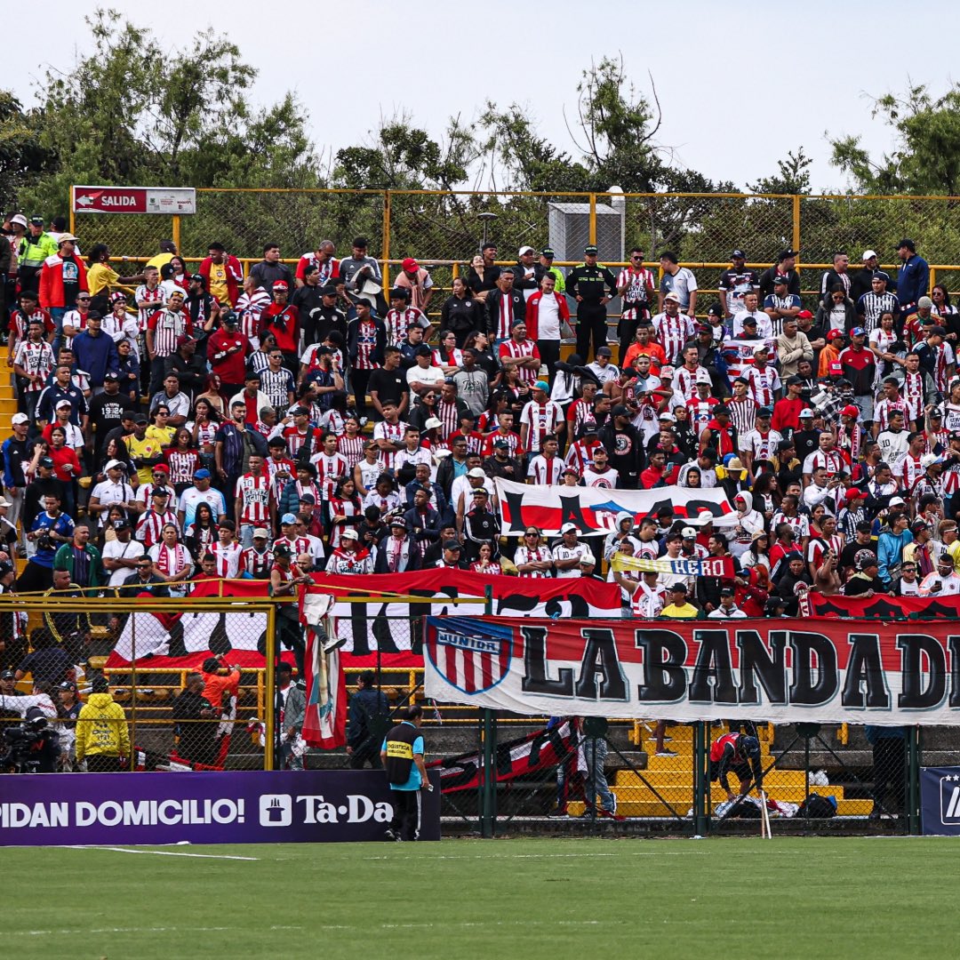 LigaBetPlayDimayor tweet media