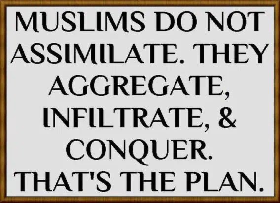 QUANTUM GUARD ™️ tweet media