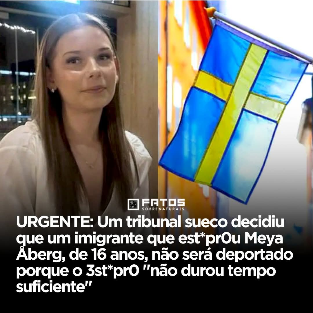 Paulo de Tarso tweet media