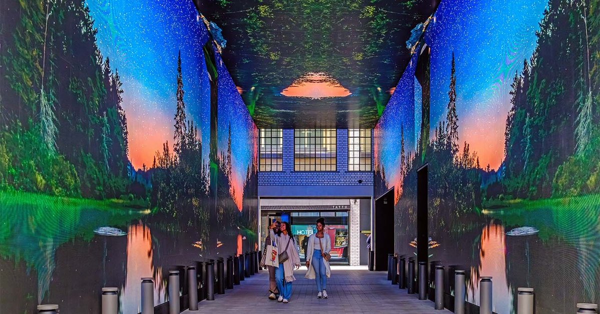 Judi Saunders tweet media