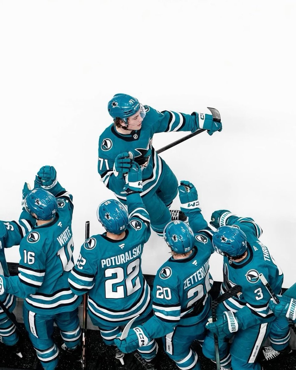 p - #1 syrax enjoyer tweet media