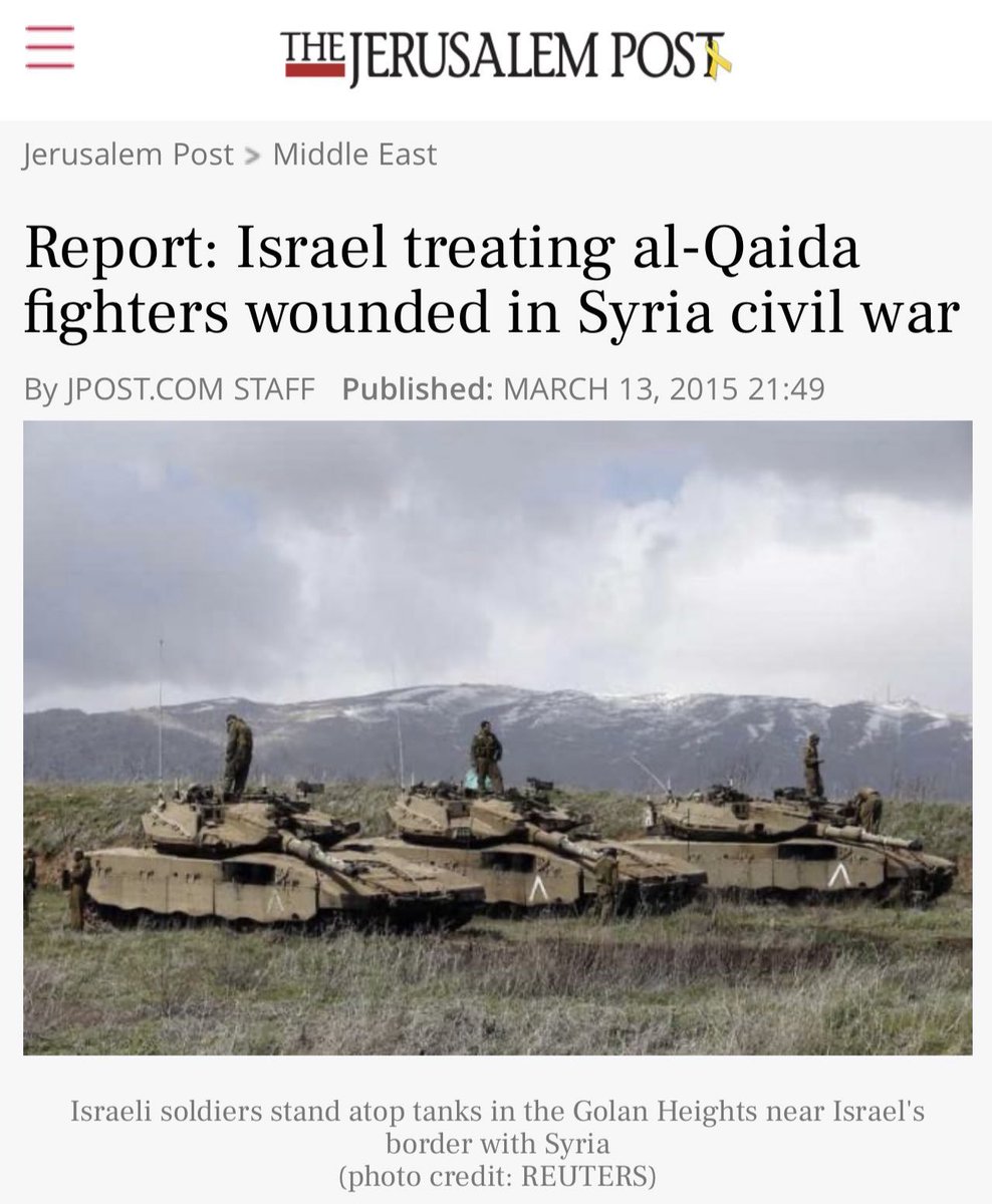 Frog Mann80 tweet media