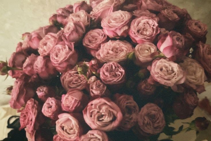 سَاشـا tweet media