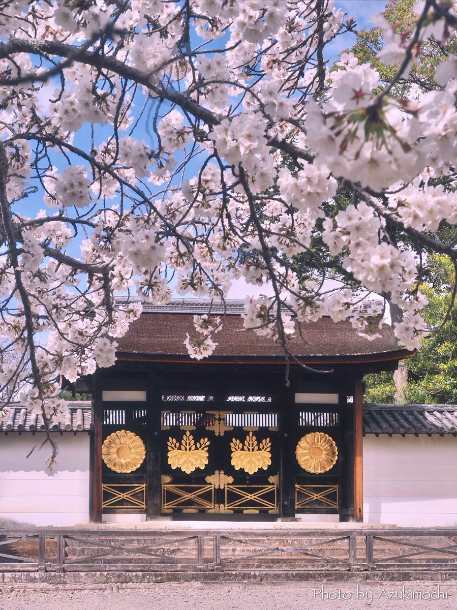 小豆餅乃Another Room tweet media