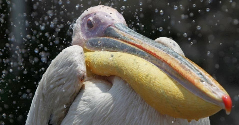 Karla Estrella tweet media