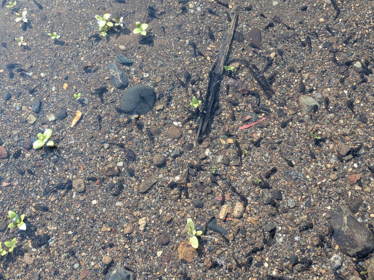 国土交通省利根川上流河川事務所 tweet media