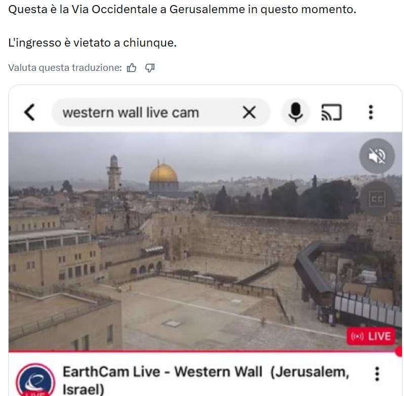 Max at work tweet media