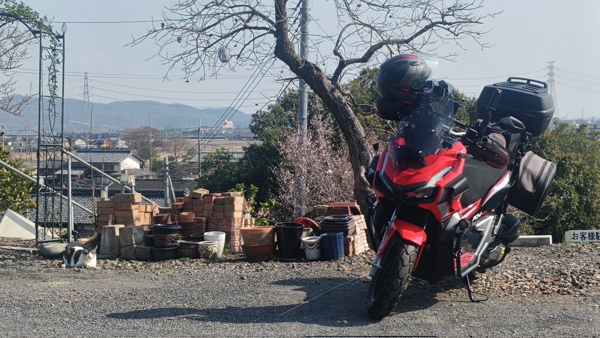 おでかけポコ tweet media