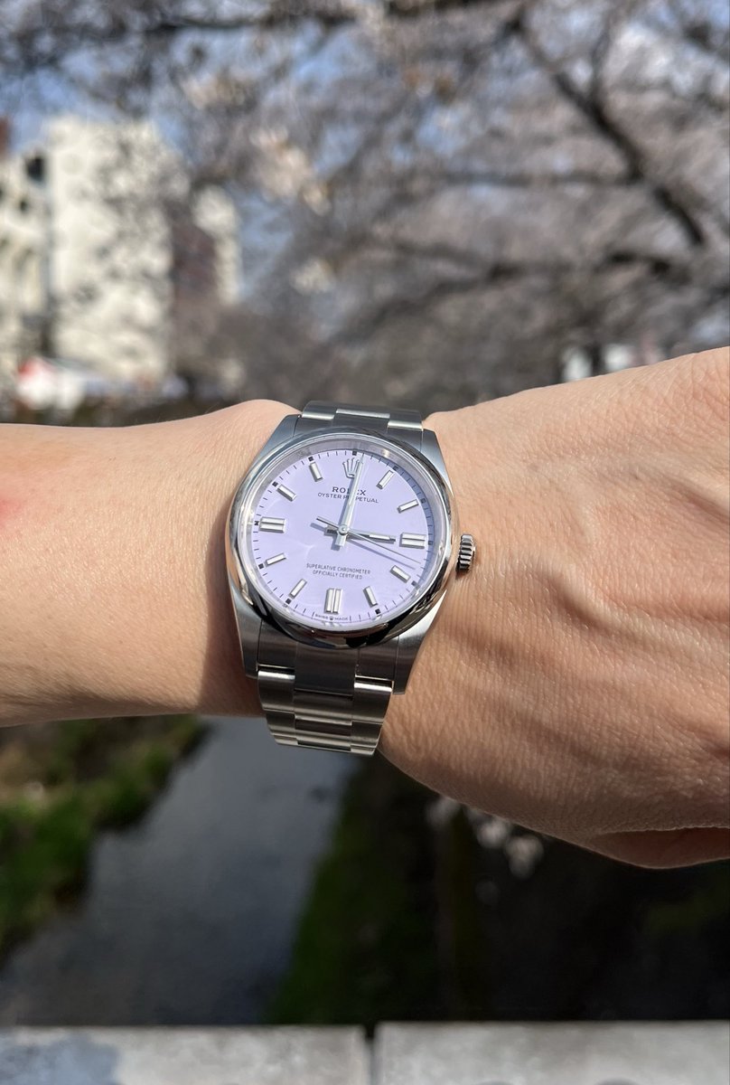 シュテファン tweet media