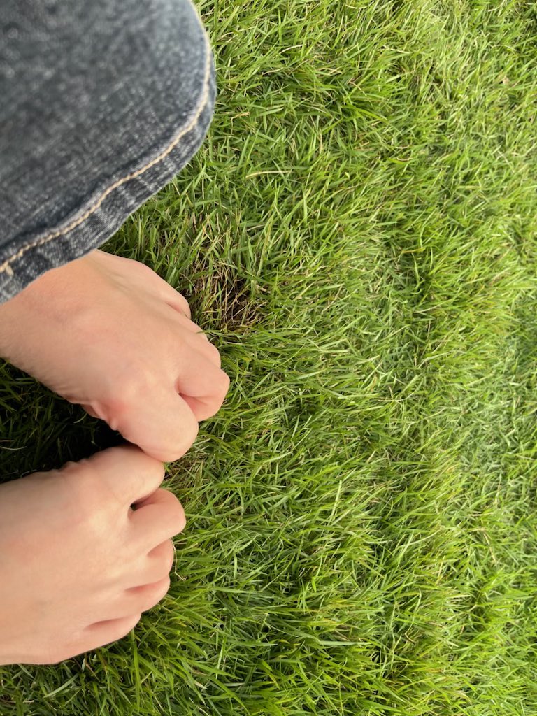 ilovetoast tweet media