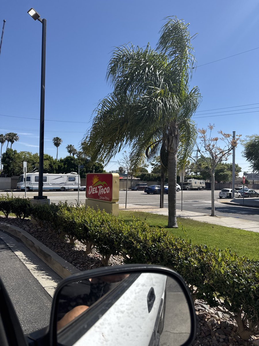 lorijg3210's tweet image. #deltaco