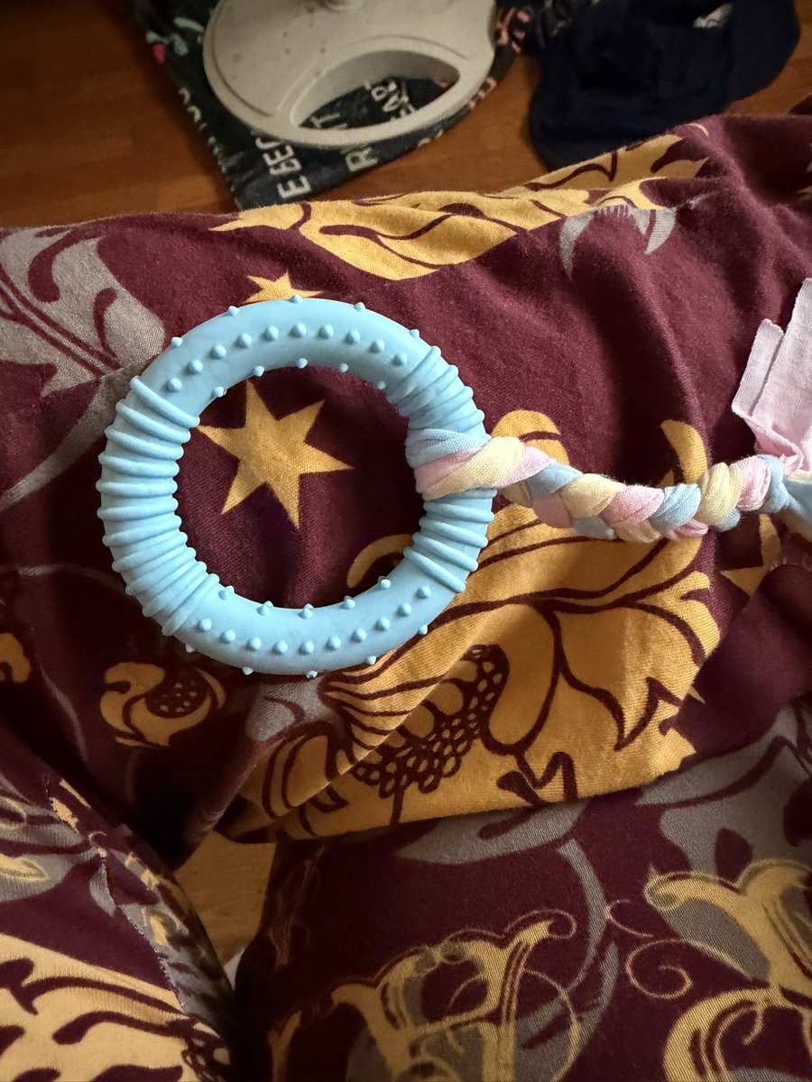 ☆┊frank iero of shedtwt |-/ tweet media