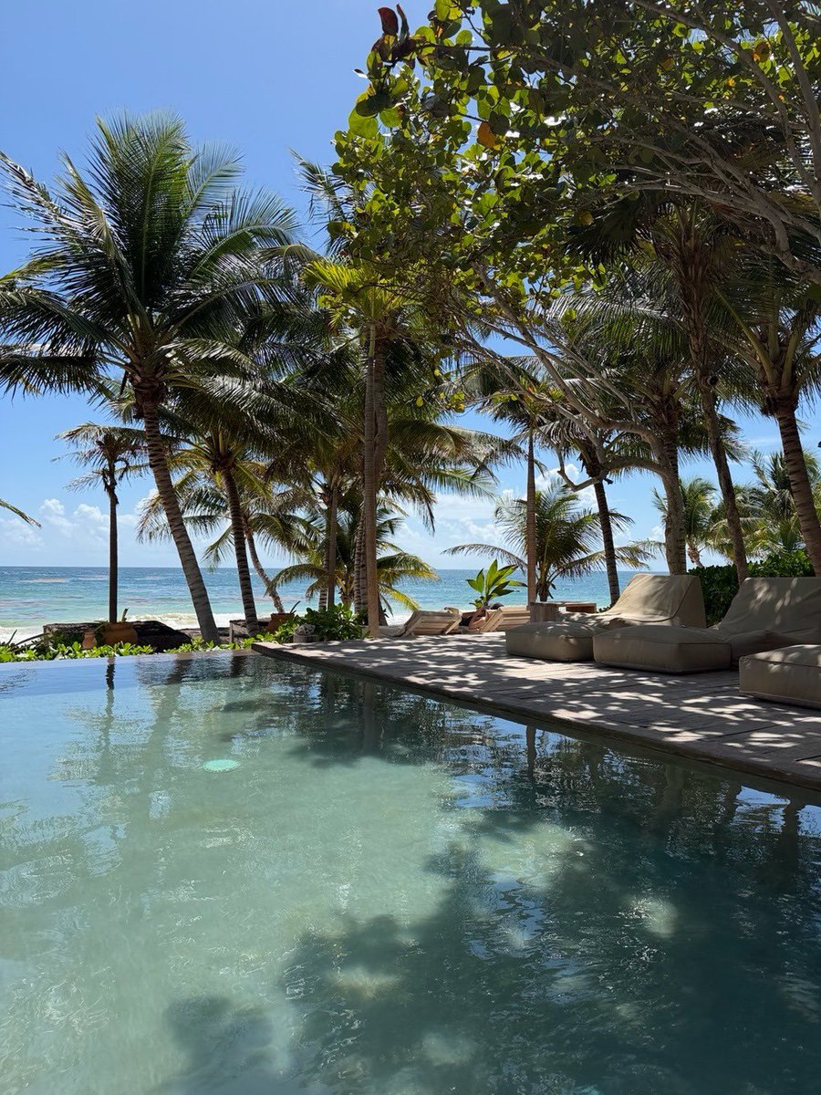 Daisy Dias tweet media