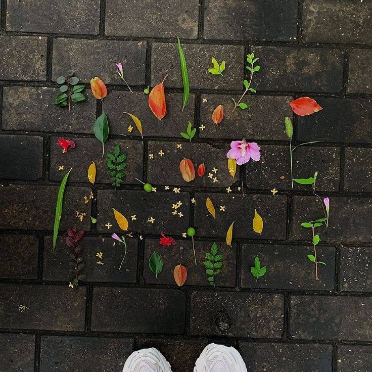 𝑝𝑢𝑟𝑒 tweet media