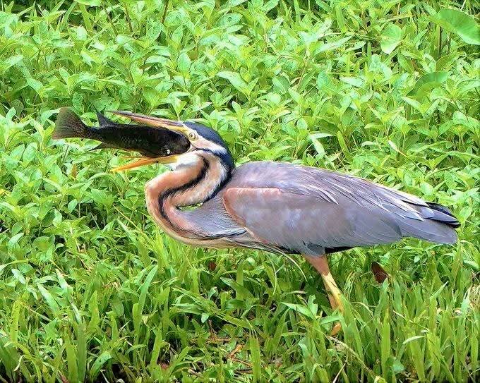 Cryptoandbetta tweet media