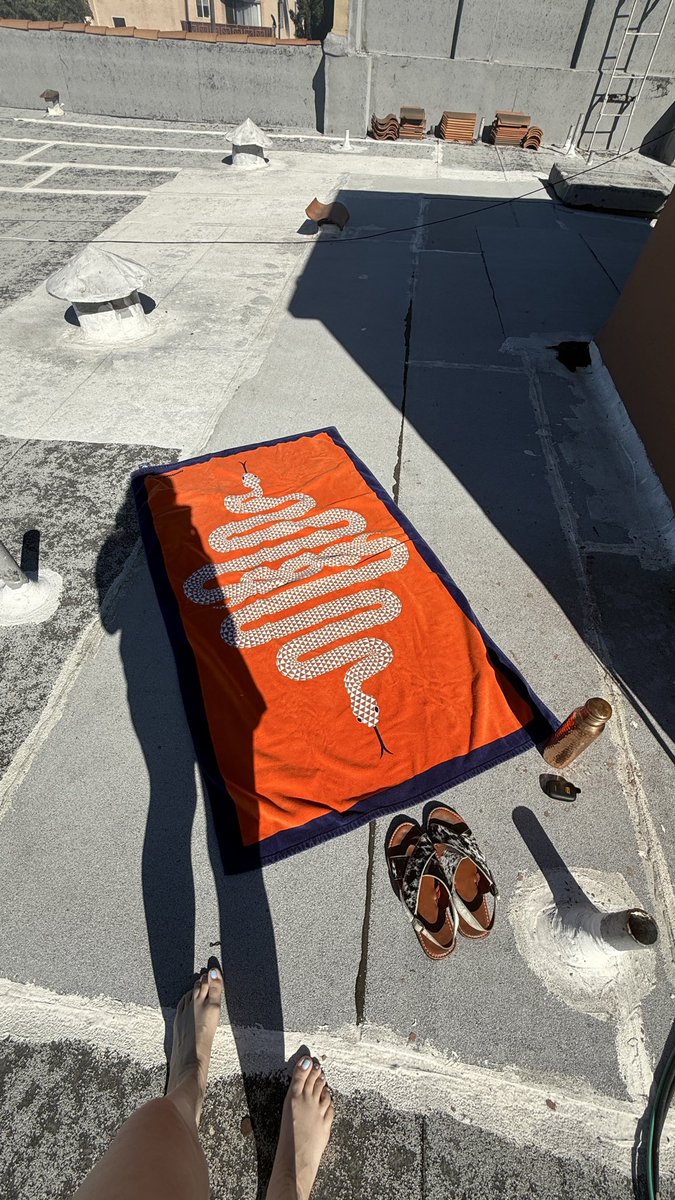 desirée tweet media