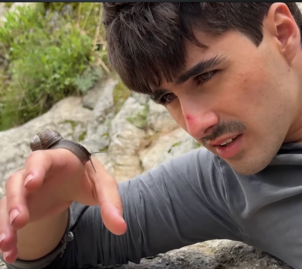 Sirius ོ☼ tweet media