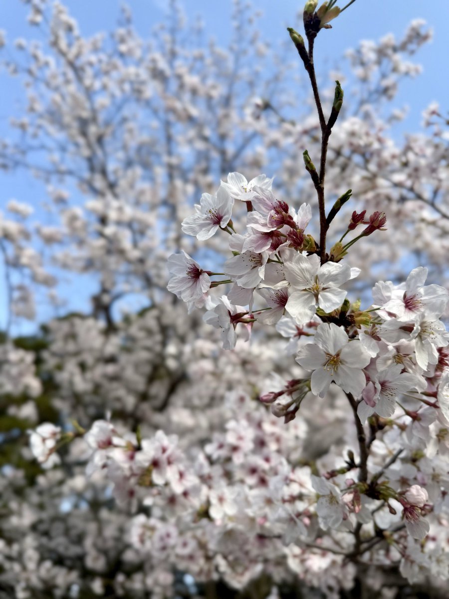 （株）中島鉄工【公式】/アトツギ広報 tweet media