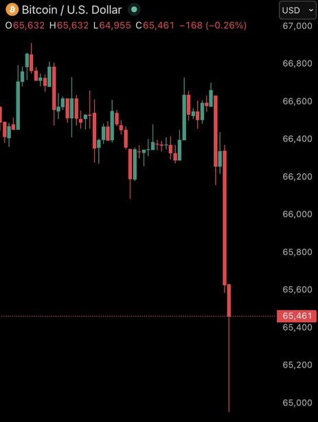 Catalina Castro tweet media