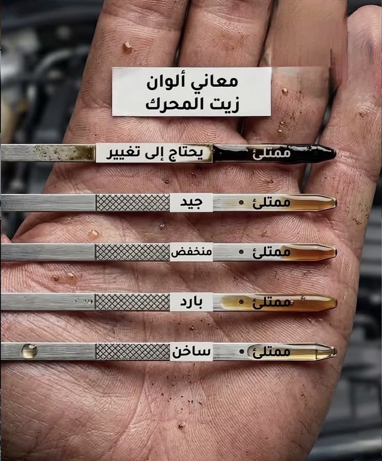 الملكة الصنعانيه サナアの女王 tweet media