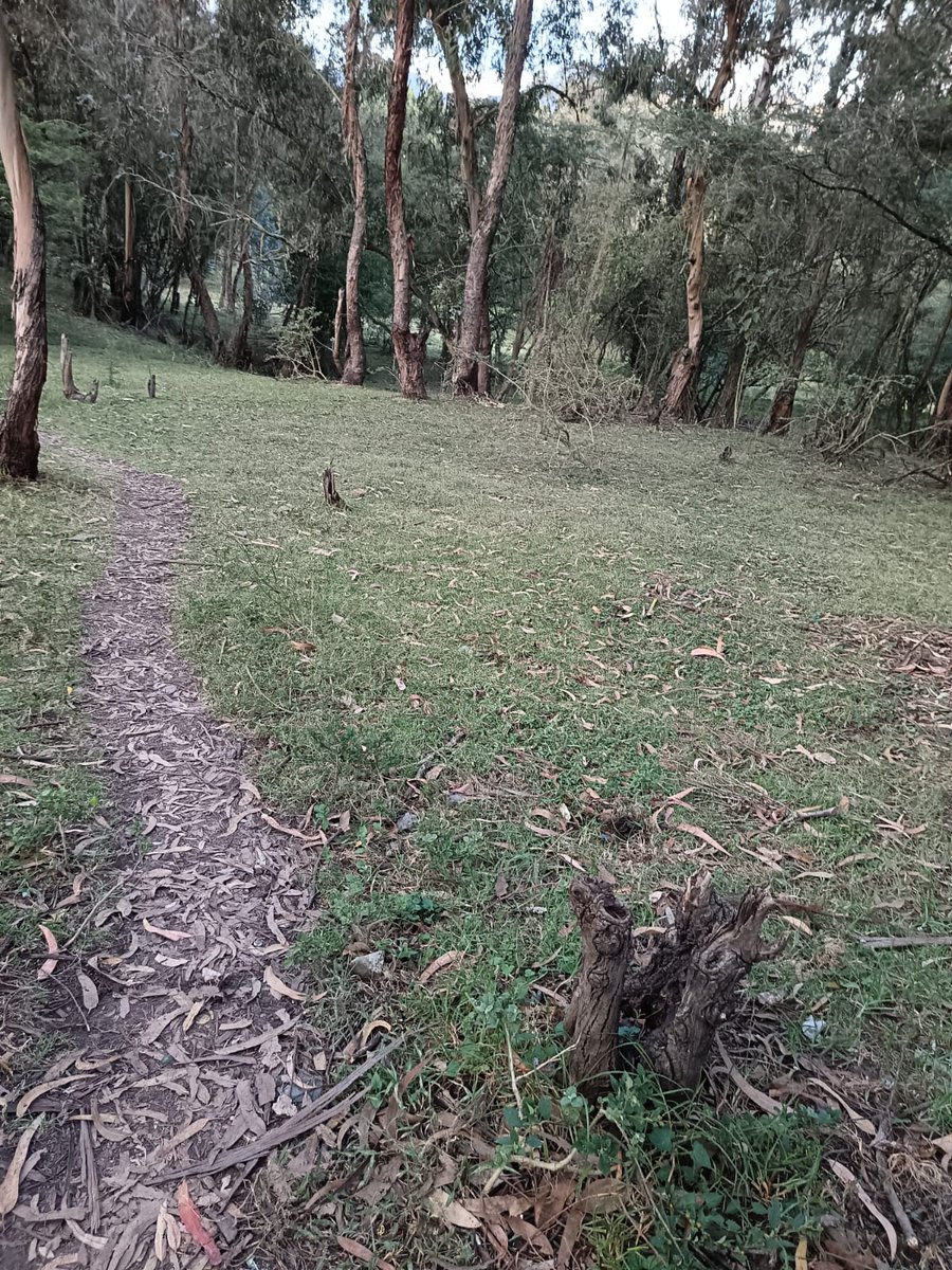 DavidTatarciak's tweet photo. @MunicipioDeLoja @AlcaldiaLoja  Buenos días, señora alcaldesa. Por medio de la presente, me gustaría solicitarle amablemente ayuda para la recogida de los residuos que hemos recolectado en el parque. https://t.co/kggda2h4rh