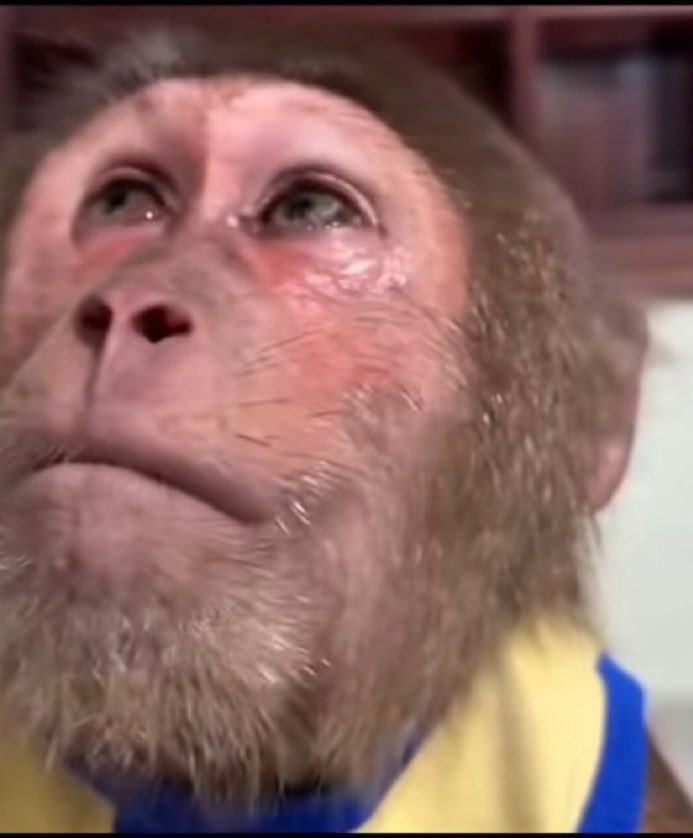 Dr. Iverson🩺🇬🇭🇨🇦 tweet media