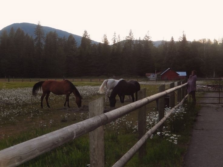 ᅟ𝓥𝒂𝒍𝒆 𝒅𝒐𝓞𝒓𝒗𝒂𝒍𝒉𝒐 tweet media