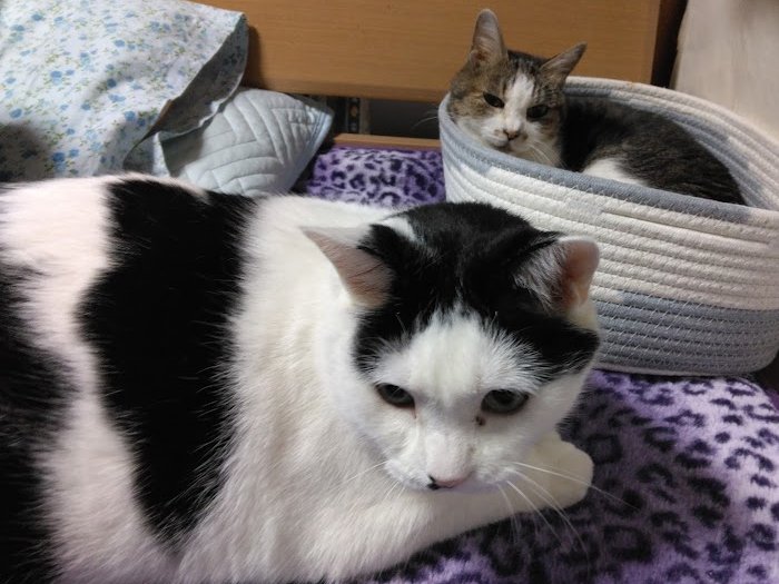 るなちゃ tweet media