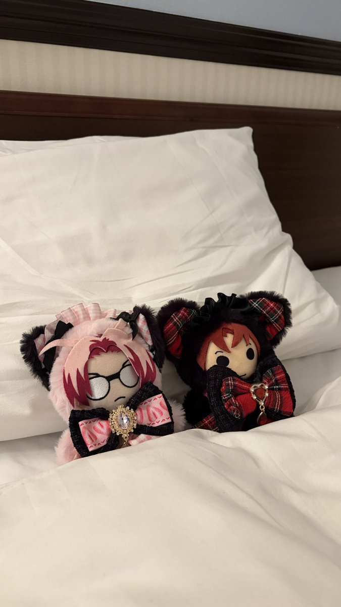 mega0i_'s tweet photo. 一人部屋は寂しかったのでハリーと4を呼びました https://t.co/3EuAIlsrzj