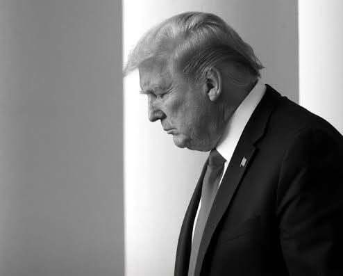 محمد tweet media