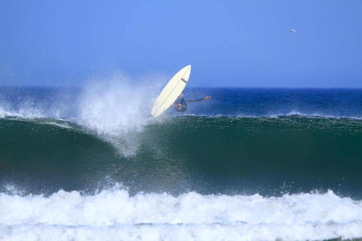 Surfeando el Merval tweet media