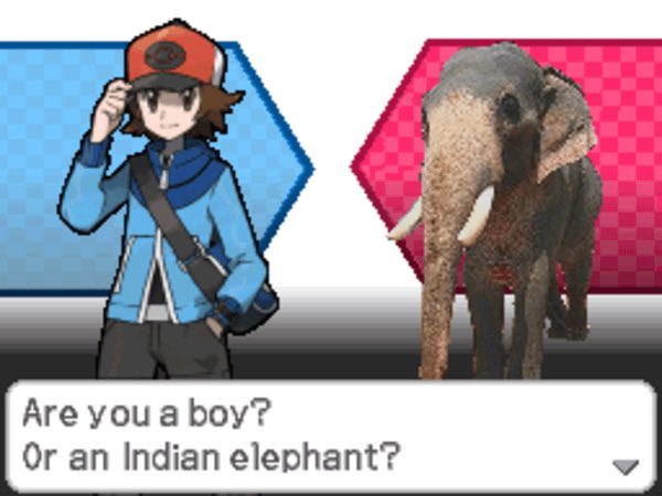 bint ♨️🐧 tweet media