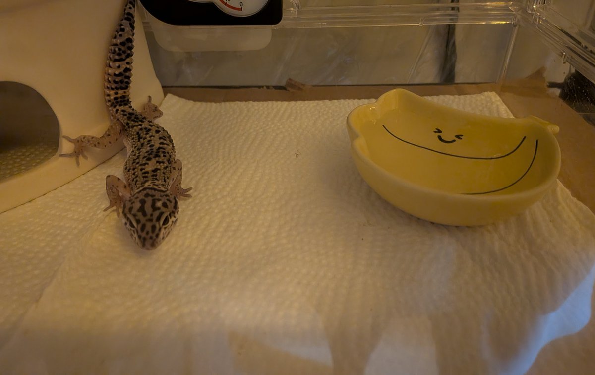 みさきち tweet media