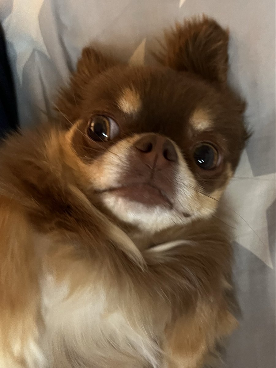 もあな tweet media