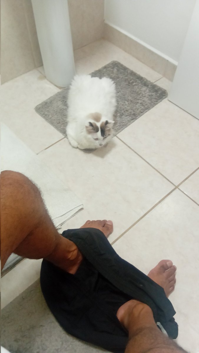 Douglas BAREBACK tweet media