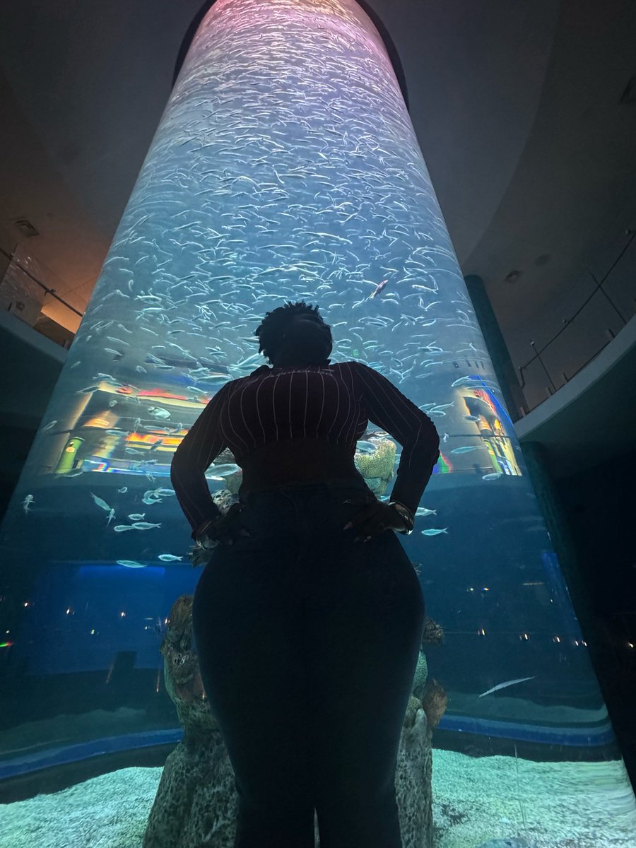 THE WOKER tweet media