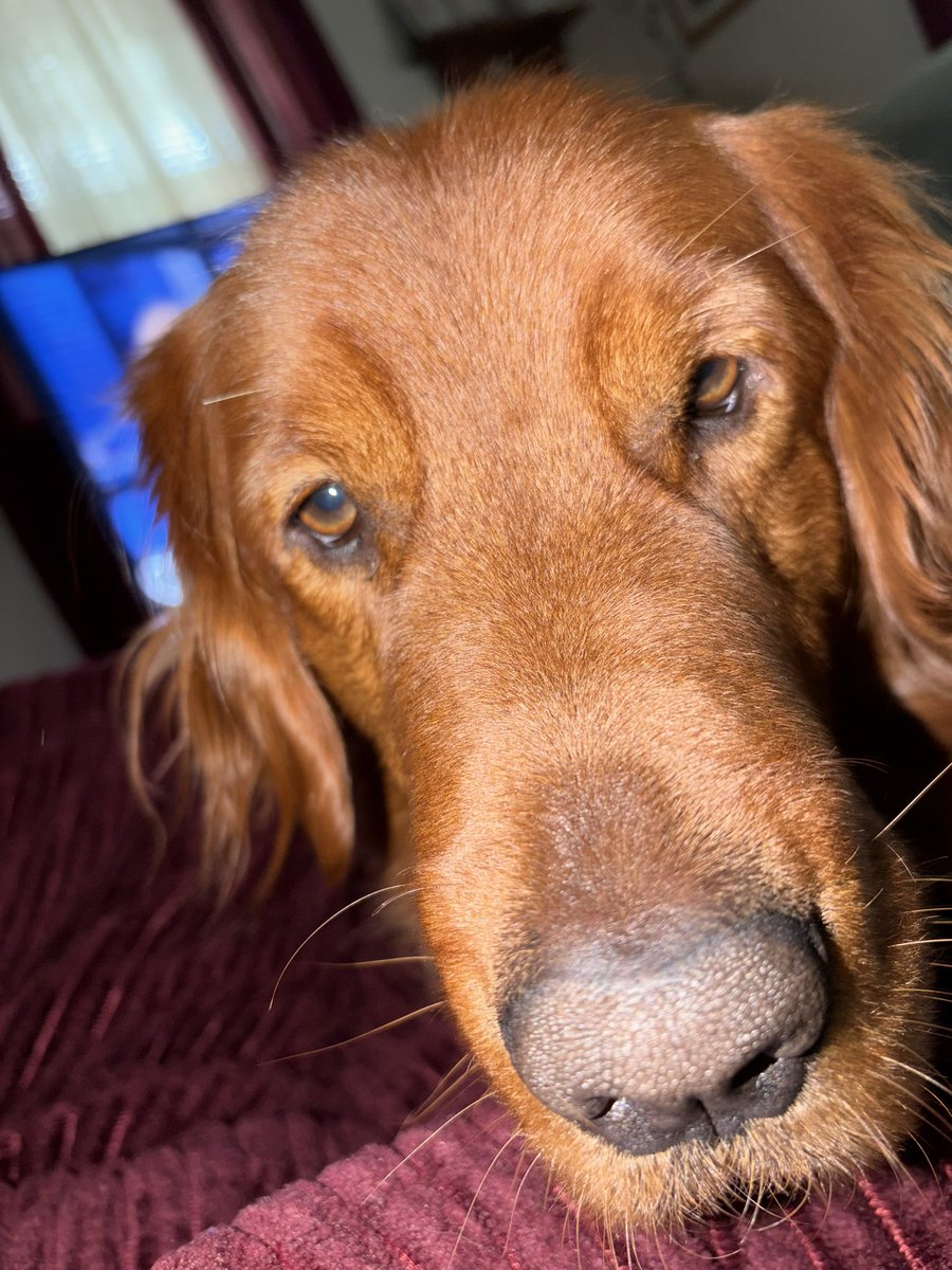 Boomer Boy and Mike tweet media