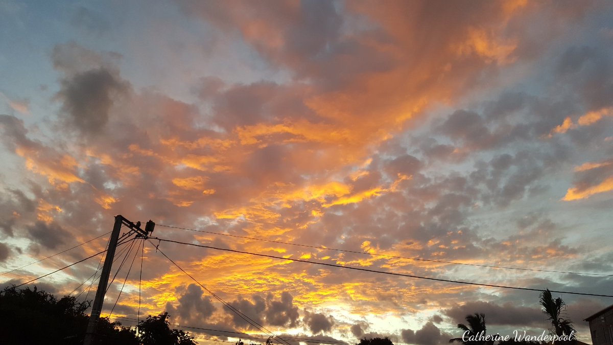 Catherine Wanderpool tweet media