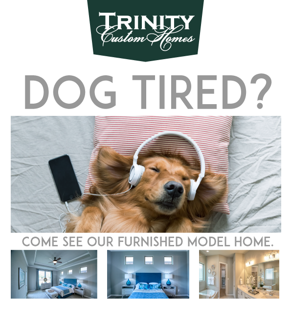 TrinityHomes's tweet photo. Take care of your fur baby. 🐈 - https://t.co/0ElqFKX2cR https://t.co/NdoNxMq9LM