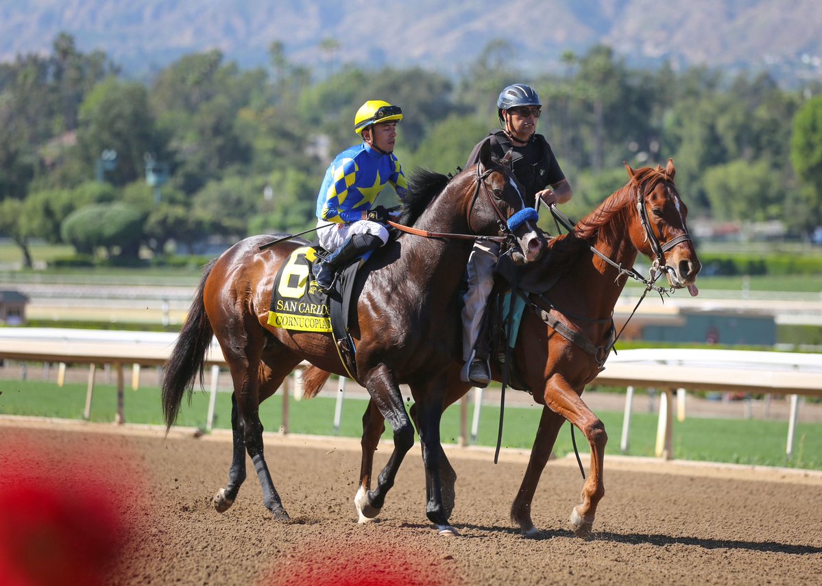 𝔅𝔯𝔲𝔦𝔫 🐻 𝔏𝔦𝔰𝔞 tweet media