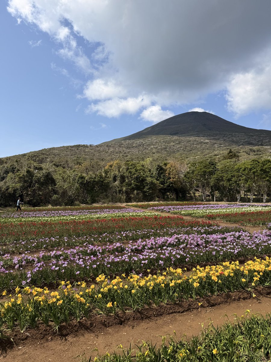 坂本まさし｜都議会議員(世田谷区) 国民民主党東京都議団 幹事長 tweet media